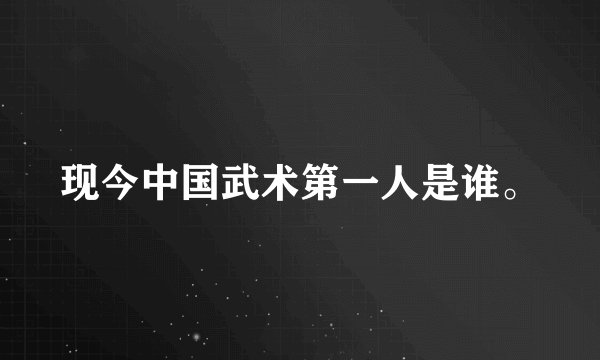 现今中国武术第一人是谁。