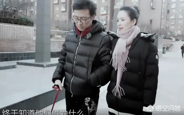 《妻子的浪漫旅行》第二季,你认为哪对夫妻的感情最好?