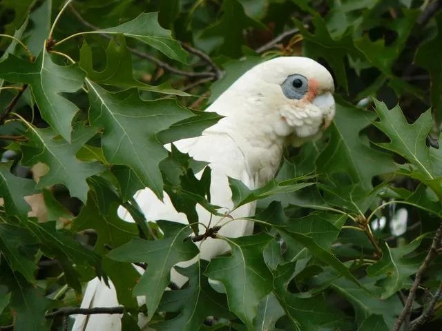 旅行途中你都见过哪些罕见的风景？