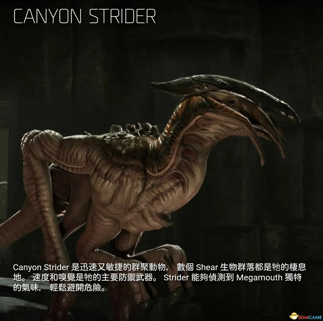 进化 全野生动物资料图鉴一览 进化都有哪些动物猎物