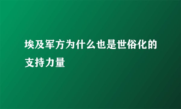 埃及军方为什么也是世俗化的支持力量