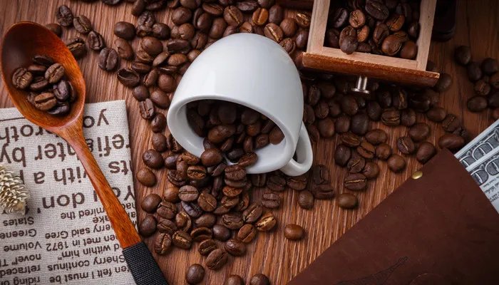 WELHOME是哪个国家的品牌 WELHOME哪里的牌子