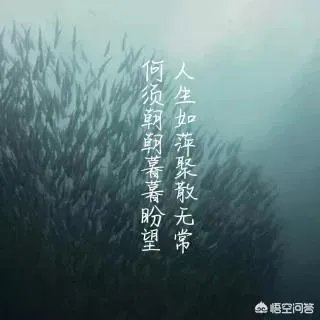 你有没有一个人，分开并不是不爱，后面一直不联系，却隐藏在心中？