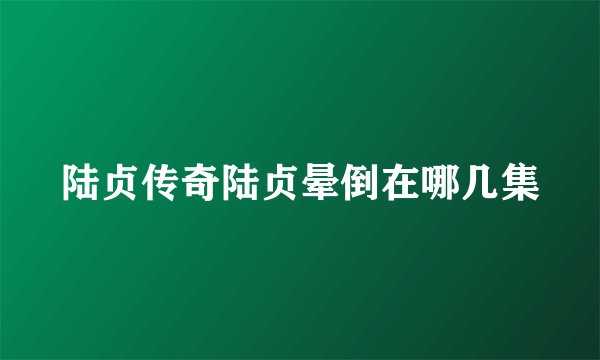 陆贞传奇陆贞晕倒在哪几集