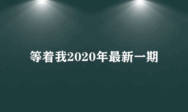 等着我2020年最新一期