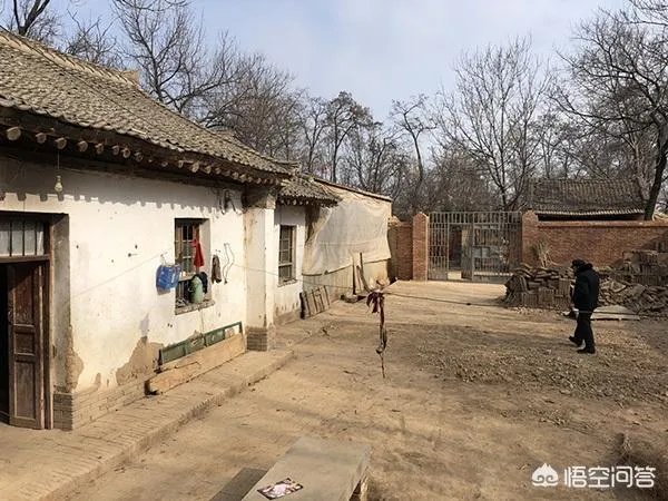 甘肃一老师指使两名男学生殴打8岁女孩致下体出血，你怎么看？