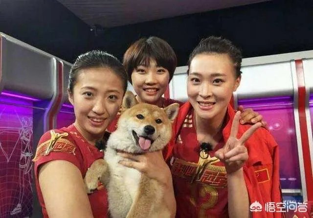 惠若琪幽默回应照片被打码：“估计是看我胖了，帮我维护下形象！”对此你怎么看？