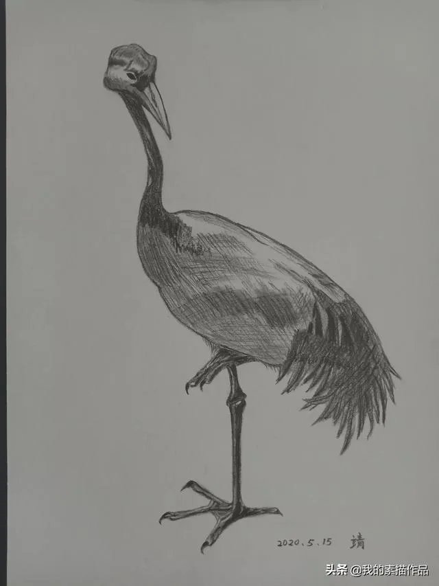 想自学绘画,请问要怎么做?