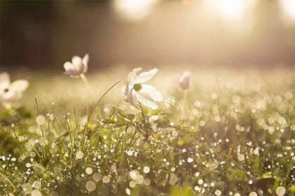 2023年几月份适合搬家乔迁？最吉利的搬家日子查询