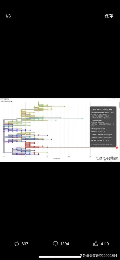 值得警惕：美国的新冠病毒究竟隐瞒了多久？