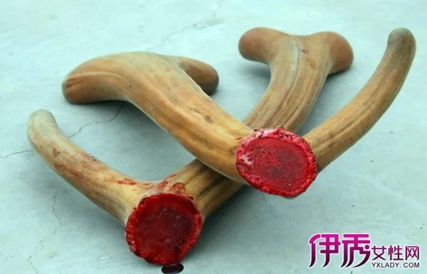 中药图片大全及名称图片欣赏