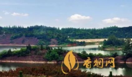 传世家酒严府百花仙酒多少钱？