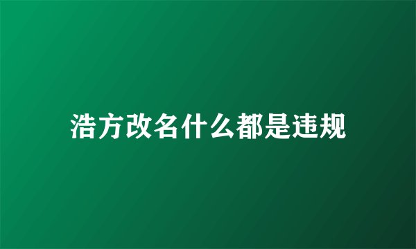 浩方改名什么都是违规