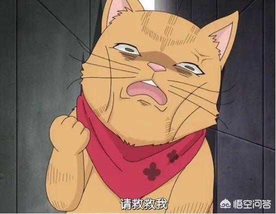 动漫中有哪些丑萌的角色？