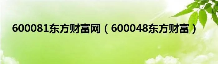 600081东方财富网（600048东方财富）