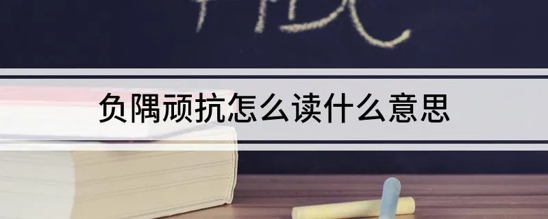 负隅顽抗怎么读什么意思