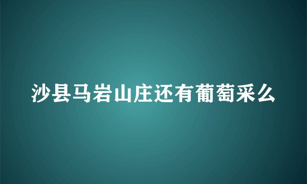 沙县马岩山庄还有葡萄采么