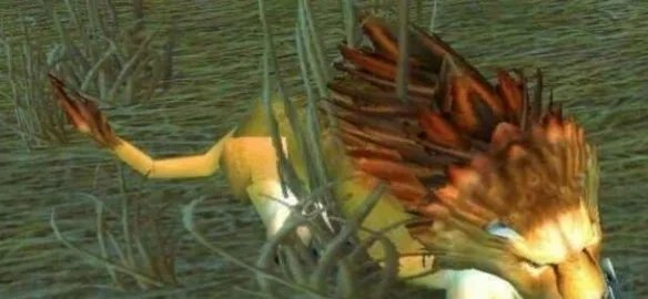 美味风蛇食谱在哪里刷