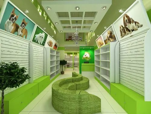 宠物店装修注意事项 宠物宝贝们有话说
