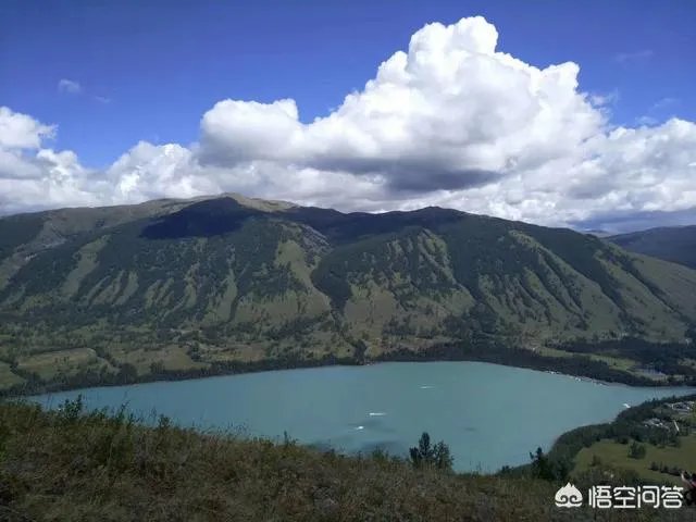 如何评价《2018中国好声音》的第七期节目？