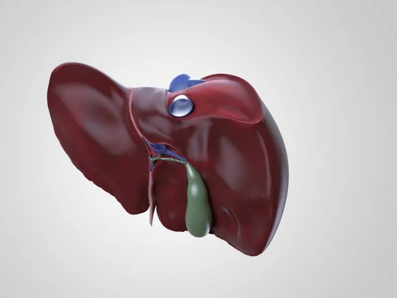 肝胆管结石的治疗方法