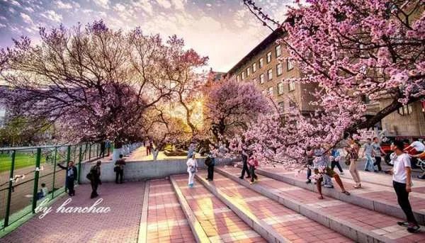 武汉旅游景点排名有哪些？