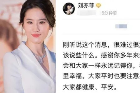 刘亦菲悼念粉丝 坦言会和大家一样记得你