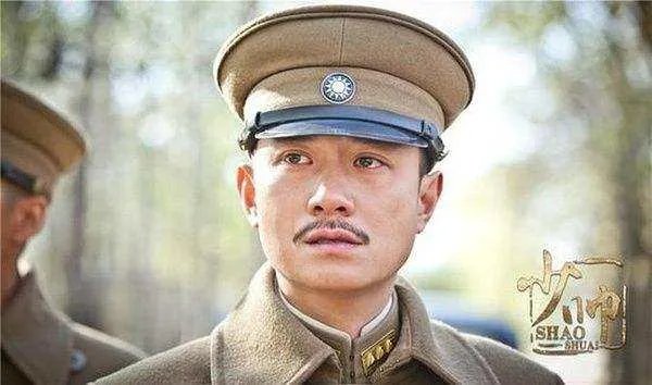 少帅电视剧好看