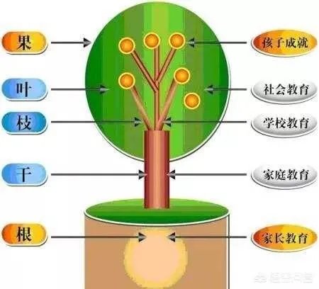 你会为了孩子上个好学校，拼尽全力买学区房吗？