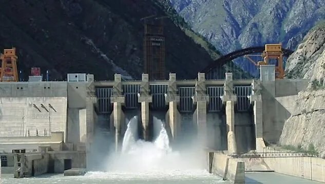 三峡库区再现水中森林是怎么回事 一行行整齐排列十分挺拔