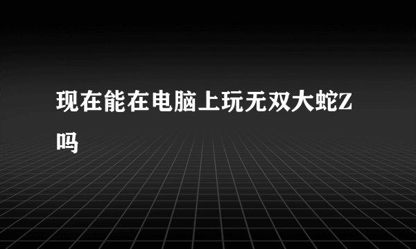 现在能在电脑上玩无双大蛇Z吗