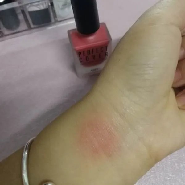 腮红哪个牌子好？