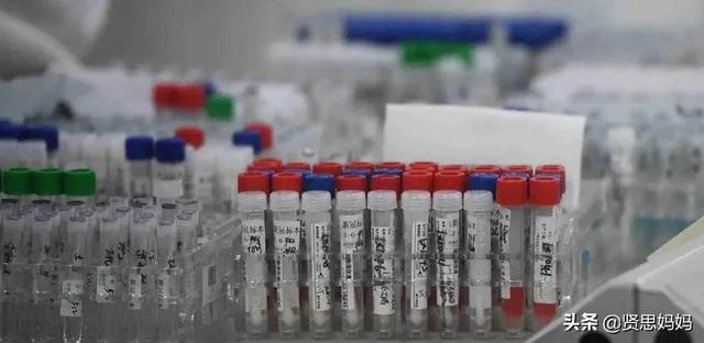 南非新冠病毒样本被窃贼抢走，当地政府警告别碰它们，怎么回事？