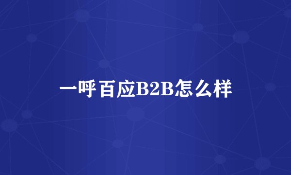 一呼百应B2B怎么样