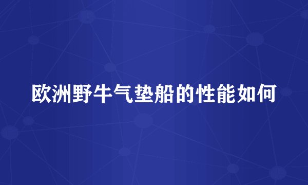 欧洲野牛气垫船的性能如何