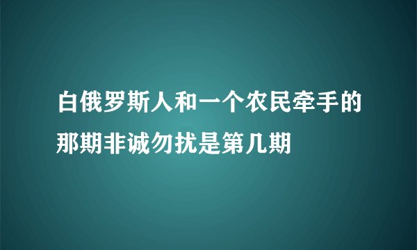 白俄罗斯人和一个农民牵手的那期非诚勿扰是第几期