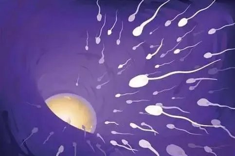 试管促排-【医生手记】试管婴儿常用的6种促排卵药物