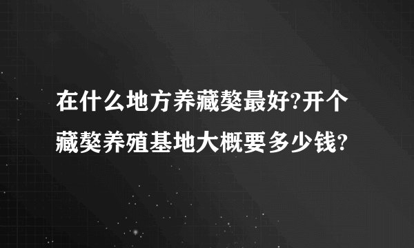 在什么地方养藏獒最好?开个藏獒养殖基地大概要多少钱?