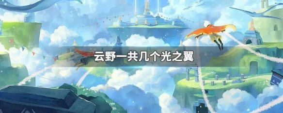 云野一共几个光之翼
