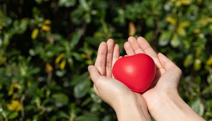 95公益周是什么 95公益周是什么意思