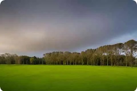 面相学鼻子图解