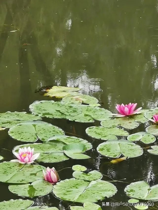 承德避暑山庄好玩吗？值得一去不？