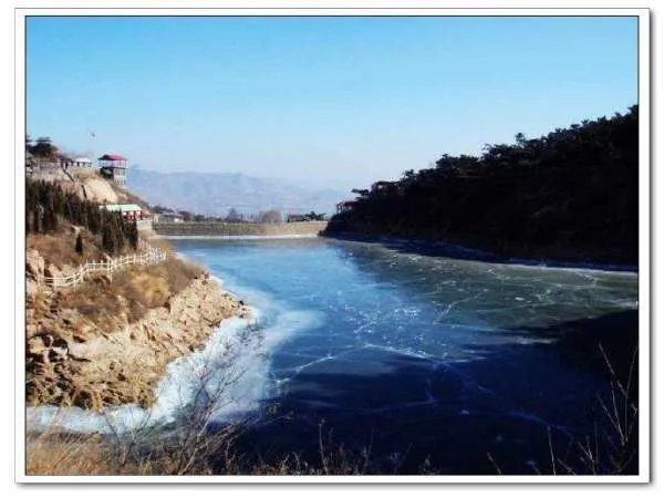 三峡库区再现水中森林,这是种什么景象?