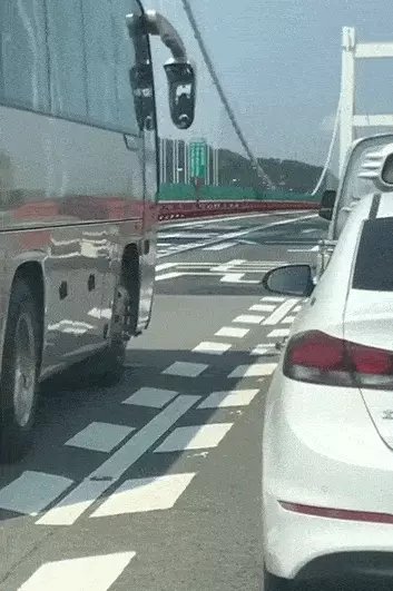 你认为虎门大桥震荡的原因是什么?