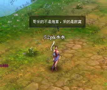 御龙在天家族日常养马任务功略