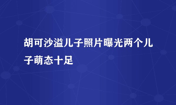 胡可沙溢儿子照片曝光两个儿子萌态十足
