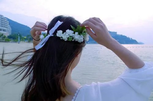 魏时烟顾司凌小说 魏时烟顾司凌免费阅读