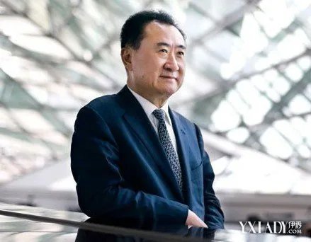 国美老总见王健林