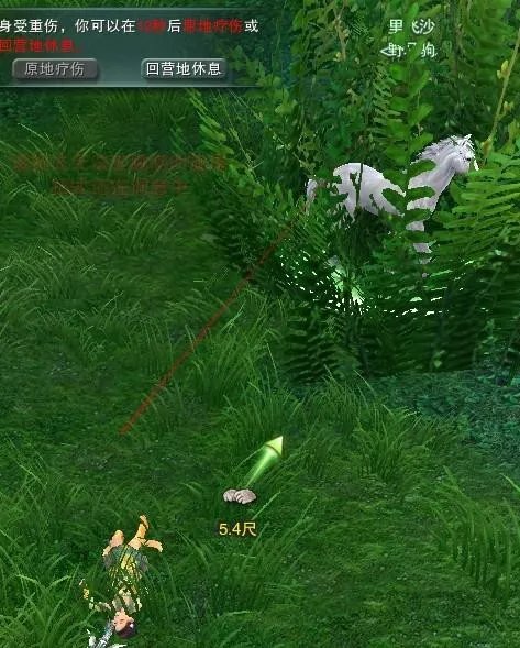 想当马贩子小白看过来 剑网3马驹最新刷新点