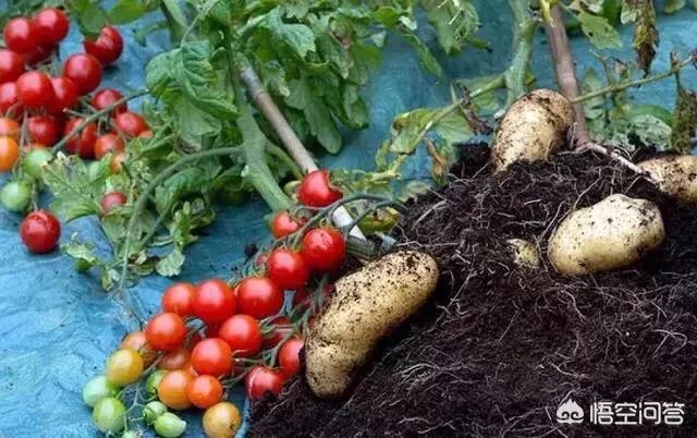 李明博全家会不会都被拘留？